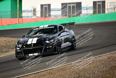 media/Feb-25-2024-Speed Ventures (Sun) [[b9a2a97a4d]]/Mustang Drivers Club/Session 1 (Turns 4 and 5)/